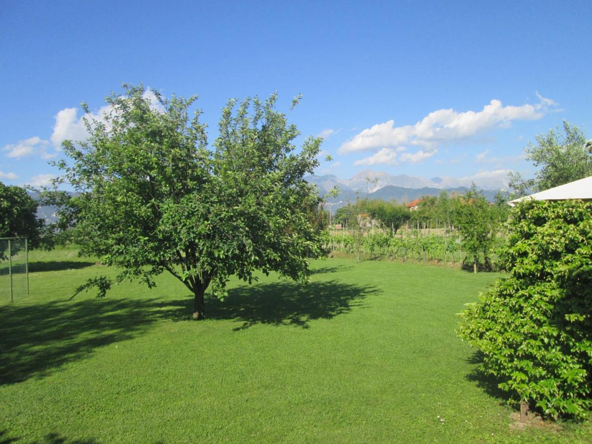 Casa Margubbio Βίλα Ameglia Εξωτερικό φωτογραφία